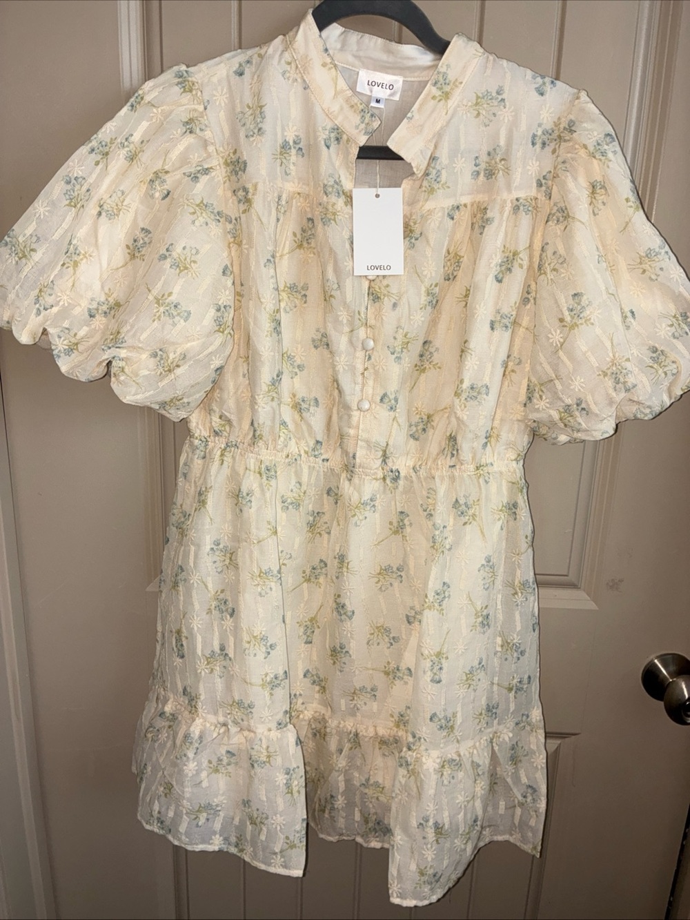 Lovelo Cream Floral Mini Dress with Puff Sleeves